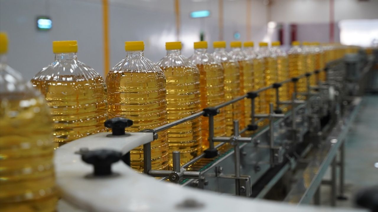 Türkiye Ayçiçeği Yağı İhracatında Dünya Lideri Olma Yolunda