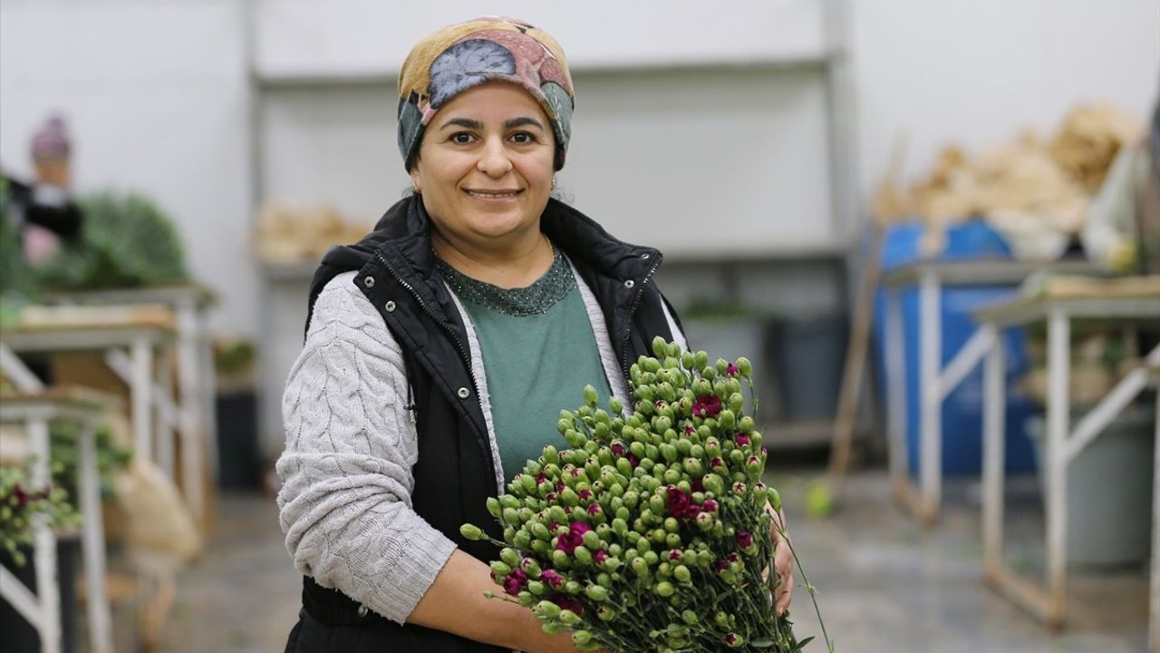 Türkiye'den Dünya Kadınlar Günü için 75 Milyon Dal Çiçek İhraç Edildi