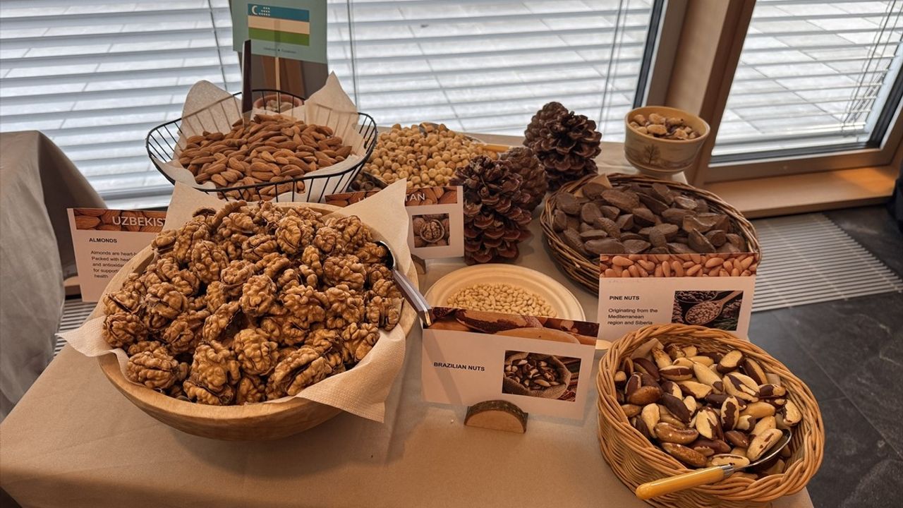 Uluslararası Orman Günü, Türkiye'nin Öncülüğünde Cenevre'de Kutlandı