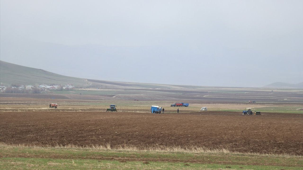 Ağrı'da Ekim Zamanı Başladı: Çiftçiler Tohum Ekimine Geçti