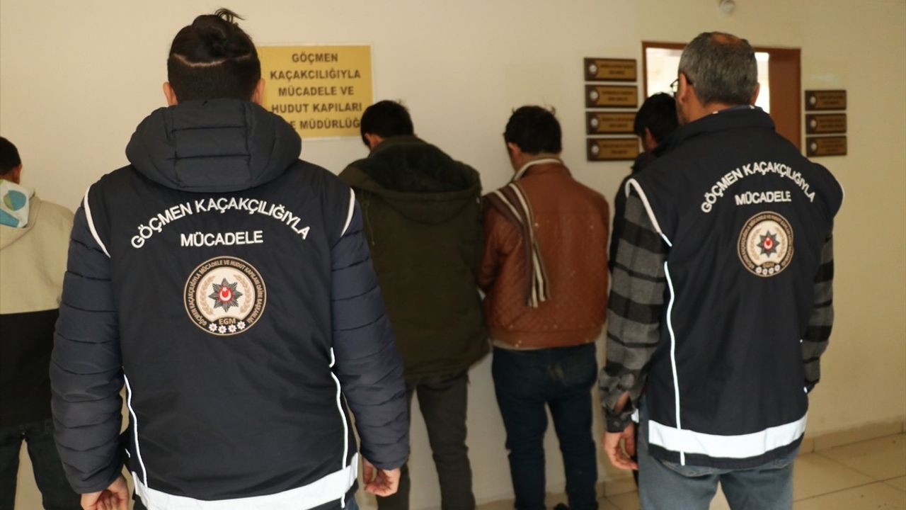 Amasya'da Canlı Hayvan Tırında 5 Düzensiz Göçmen Yakalandı