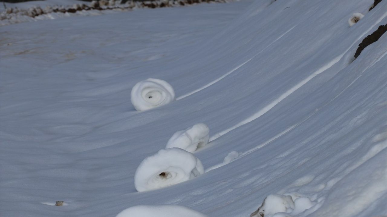 Amasya'da Nadir Görülen Kar Ruloları Yeniden Ortaya Çıktı