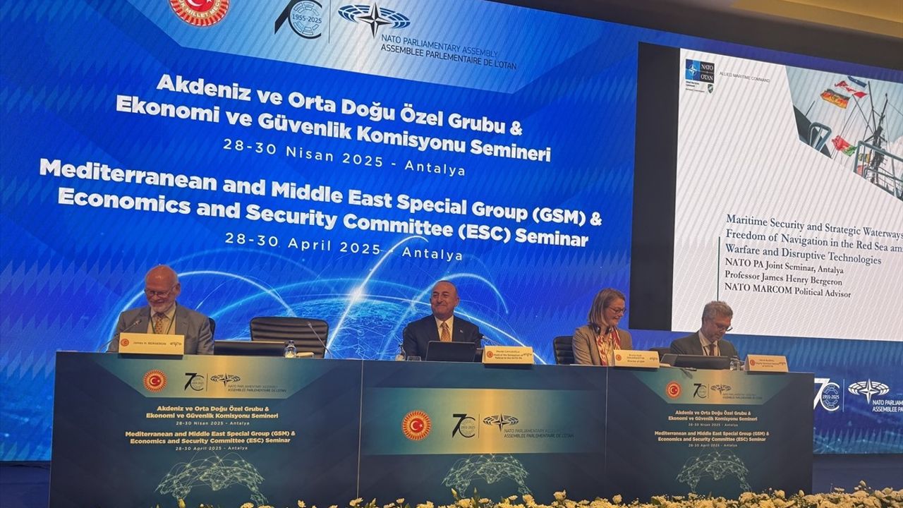 Antalya'da NATO Parlamenter Asamblesi'nde Terörizmin İncelenmesi