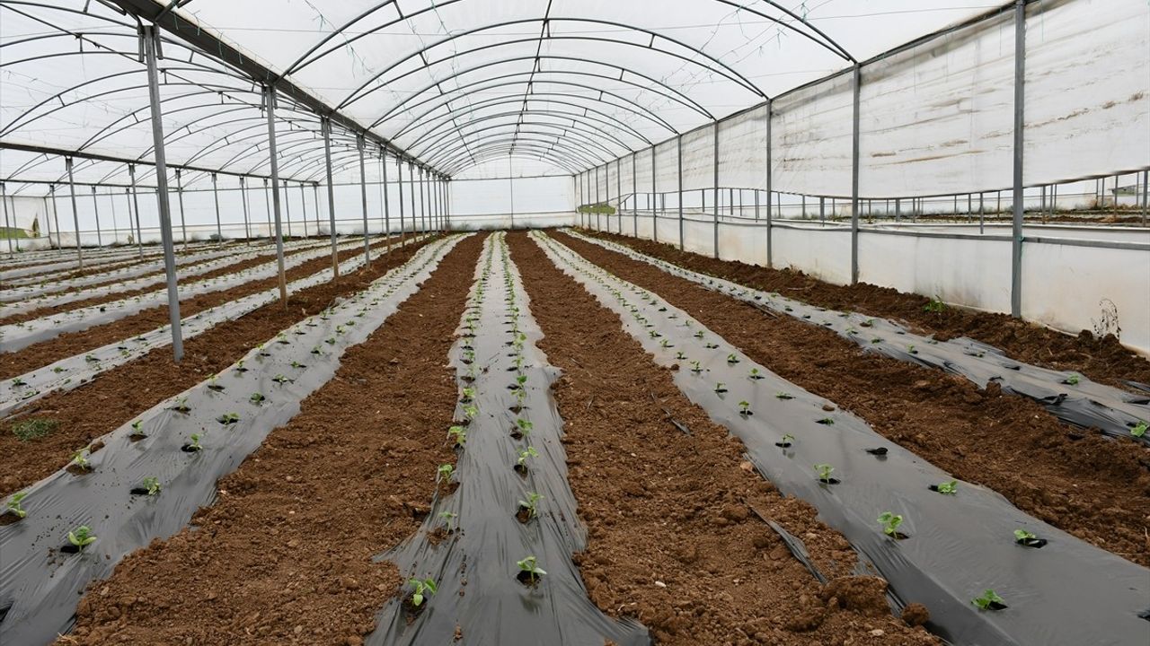 Batman'da 31 Çiftçiye Yeni Sera Teslimatı Yapıldı