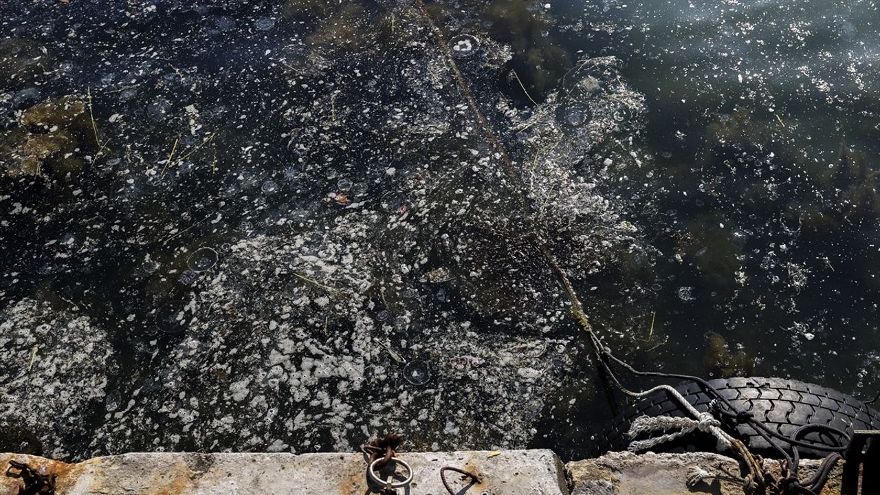 Beykoz Sahilinde Müsilaj Alarmı: Balıkçılar ve Sakinler Endişeli
