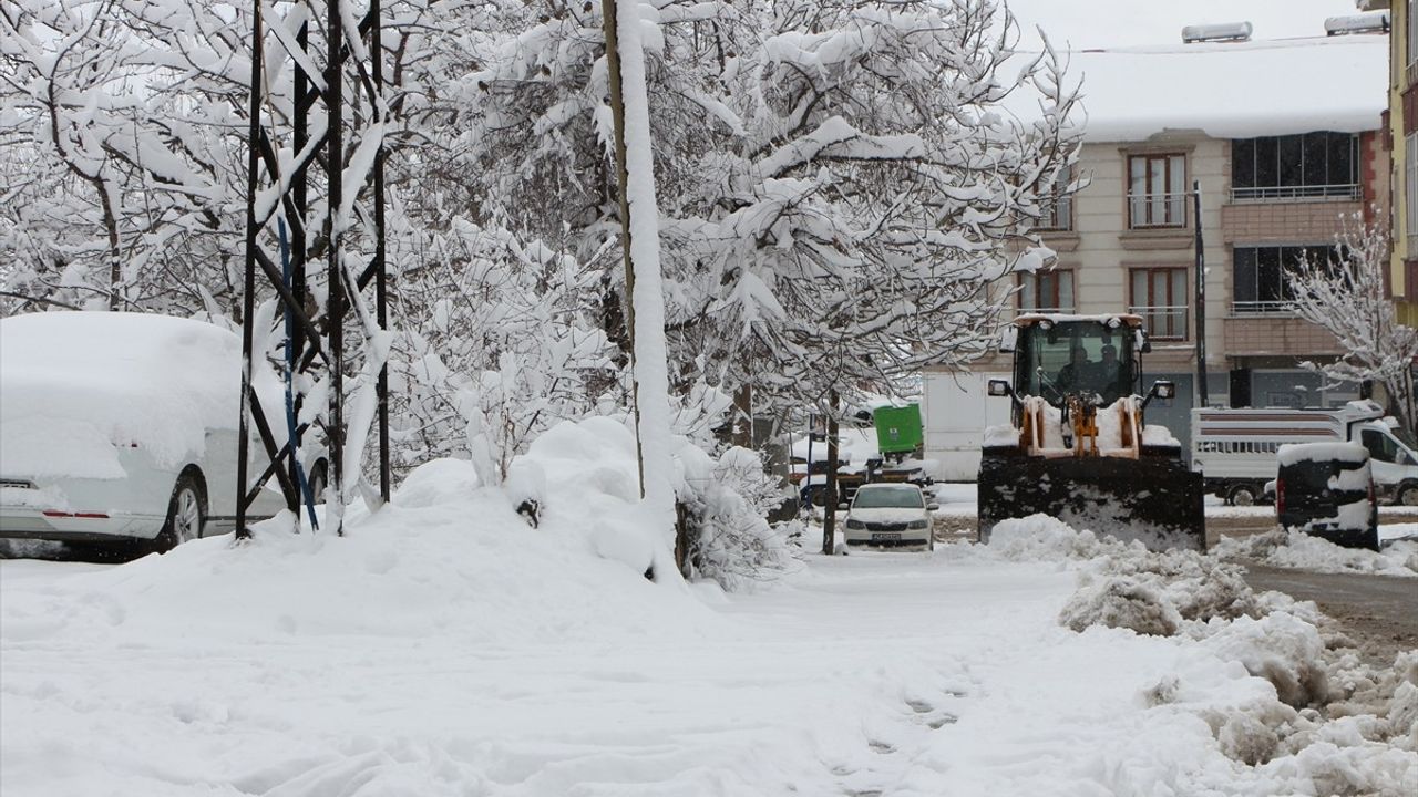 Bingöl'de Kar Yağışı Hayatı Olumsuz Etkiledi