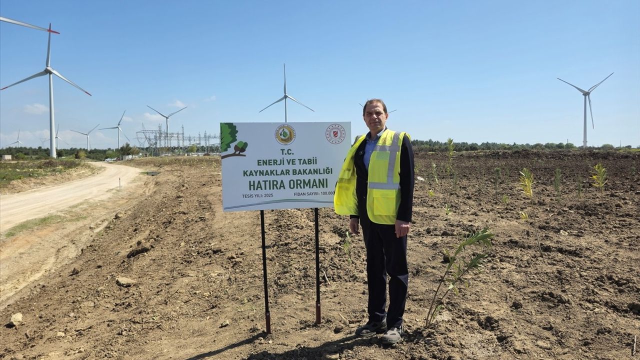 Çanakkale'de 100 Bin Fidanla 'Enerji Ormanı' Kuruluyor