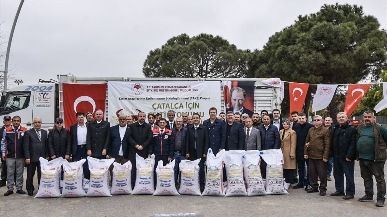 Çatalca'da 22 Ton Çeltik Tohumu Dağıtıldı