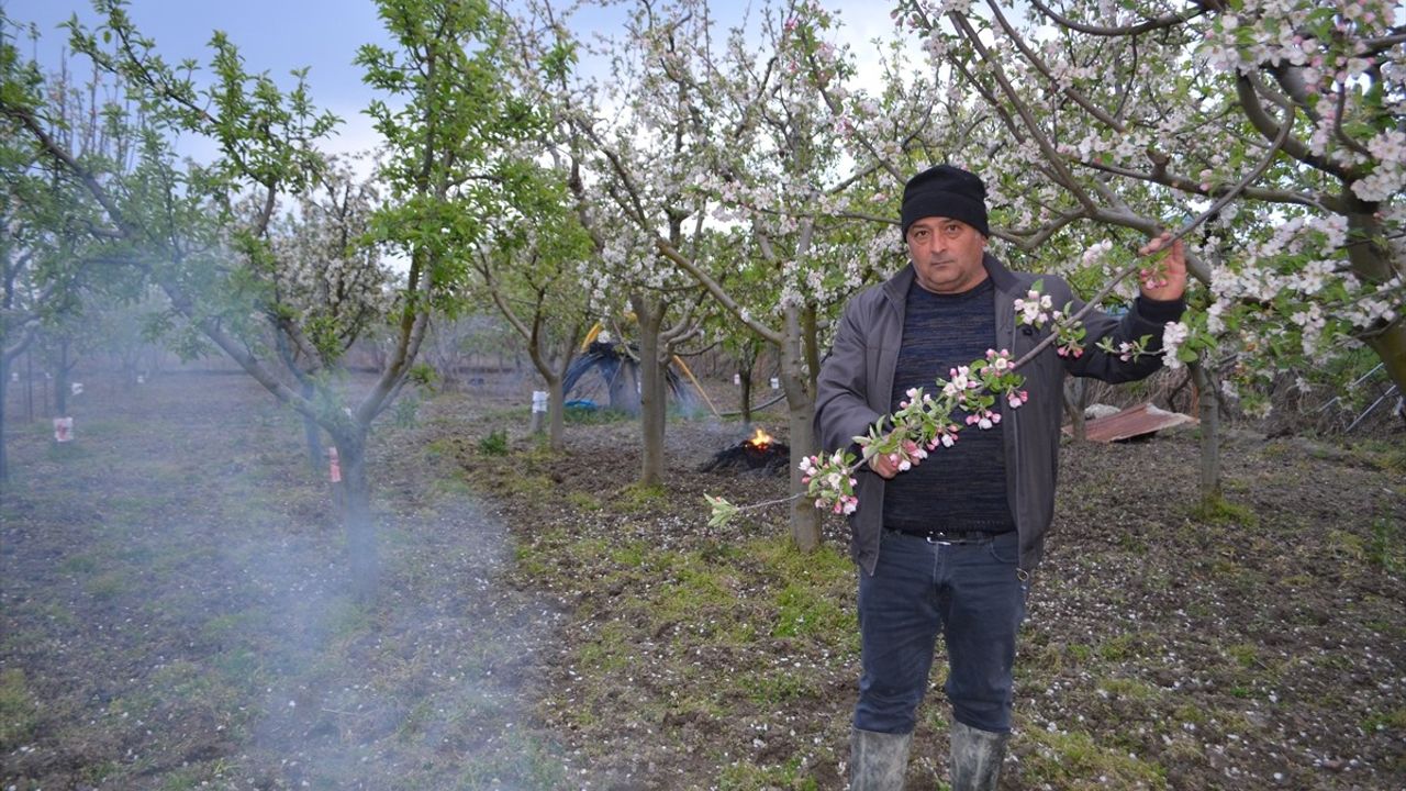 Çorum'da Çiftçiler Zirai Dondan Korunmak İçin Ateş Yakıyor