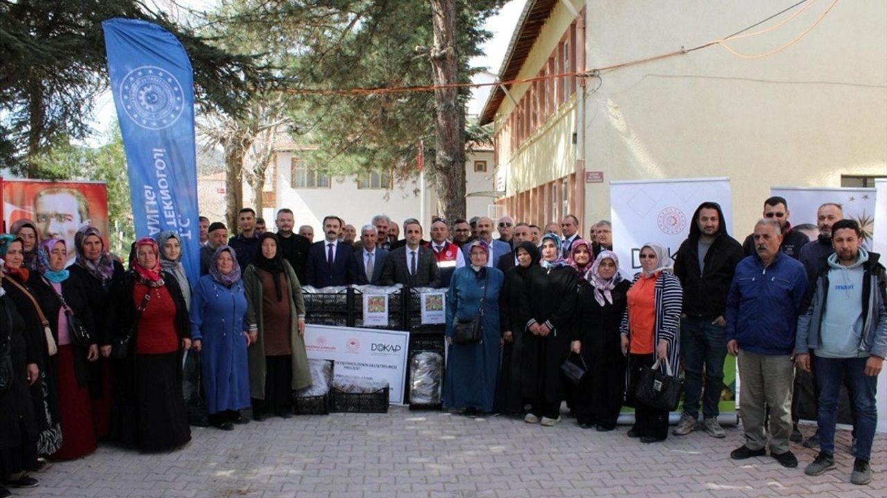 Çorum'da Çiftçilere 140 Bin Çilek Fidesi Dağıtımı Yapıldı