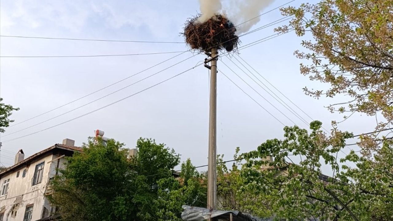 Çorum'daki Yangın, Leylek Yuvasını Kullanılamaz Hale Getirdi