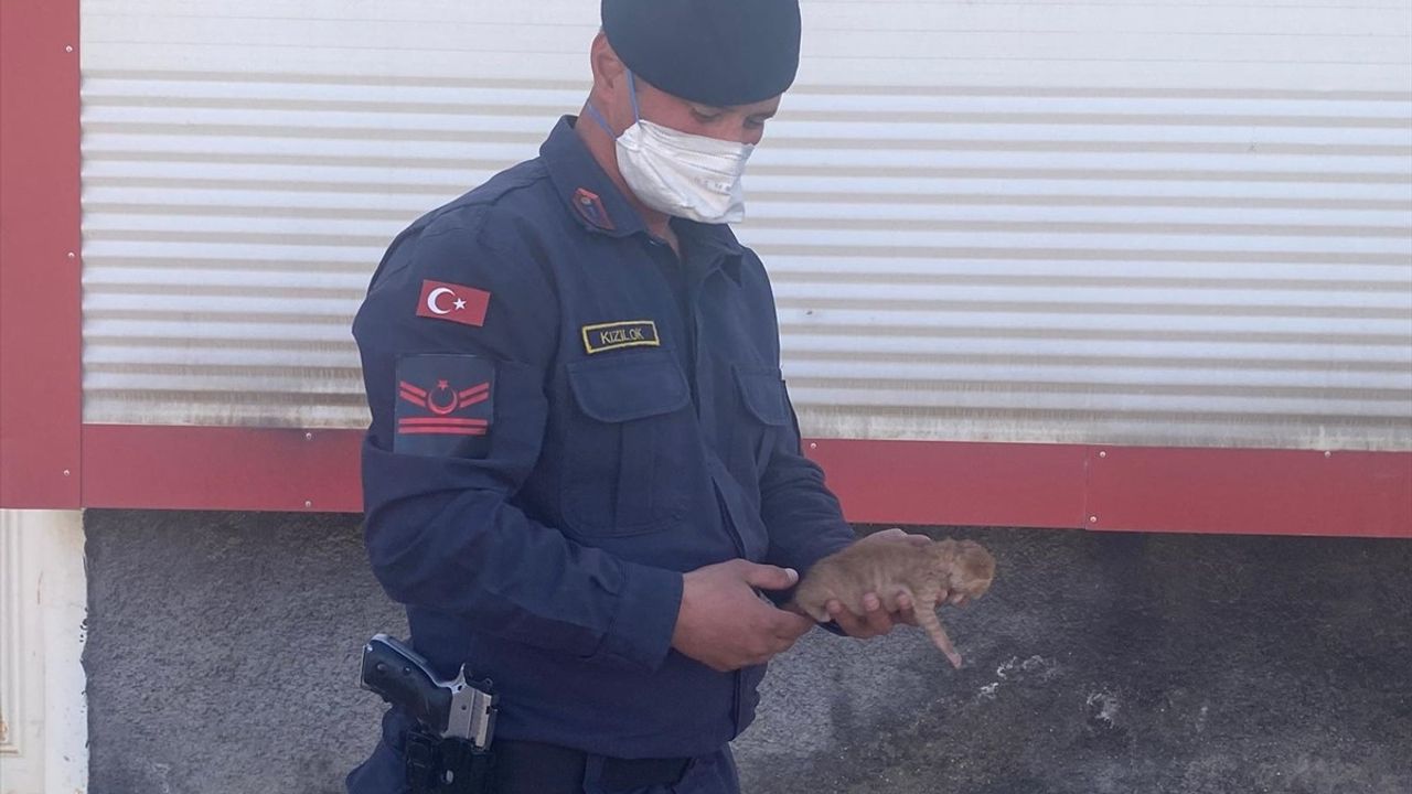 Diyarbakır'da Yangın: Depoda Mahsur Kalan Kediler Kurtarıldı