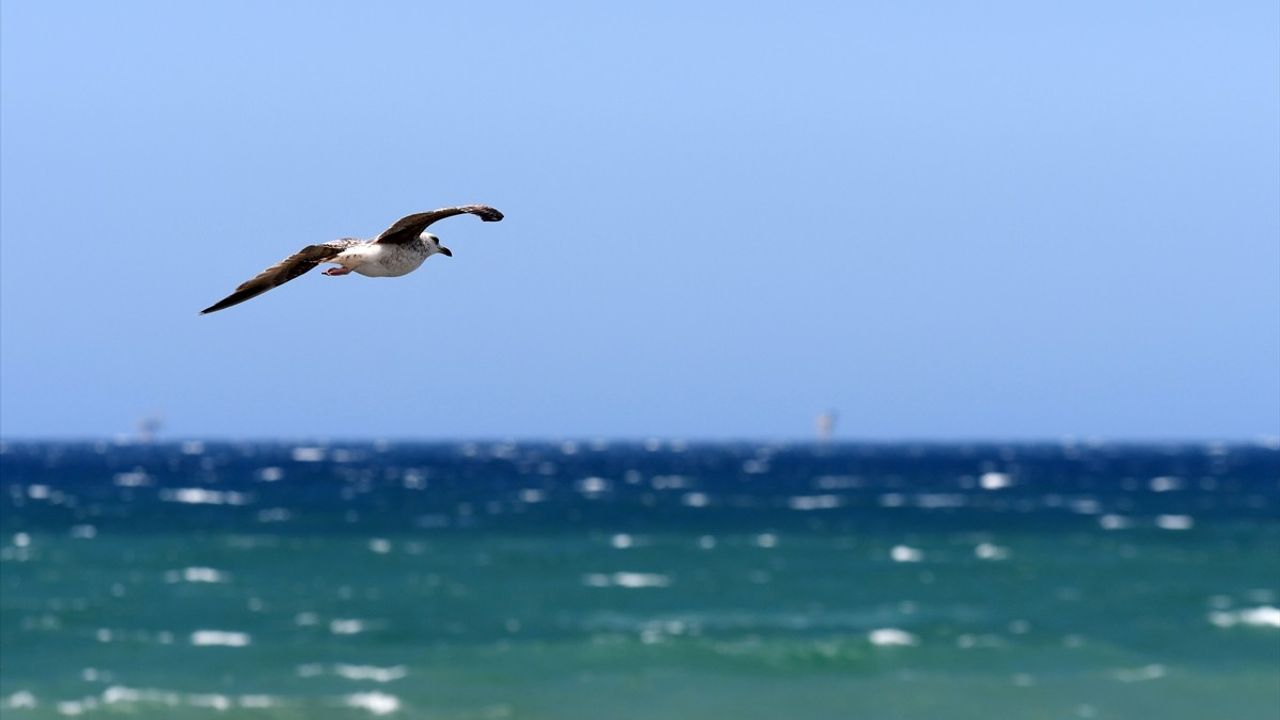 Düzce'de Kuvvetli Rüzgar Denizde Dalga Boyunu Yükseltti