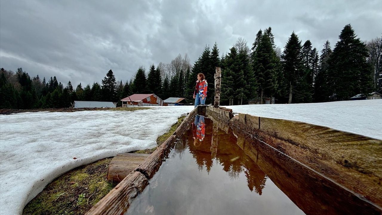 Düzce Yaylalarında Kış ve Baharın Büyüleyici Doksanı
