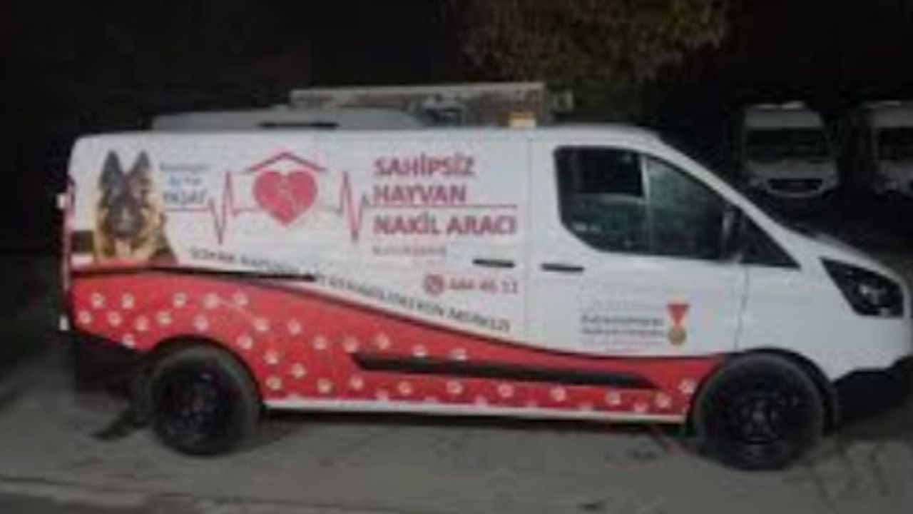 Eskişehir'den Çığır Açan 'Sahipsiz Köpek' Kararı: Yeni Dönem Başlıyor