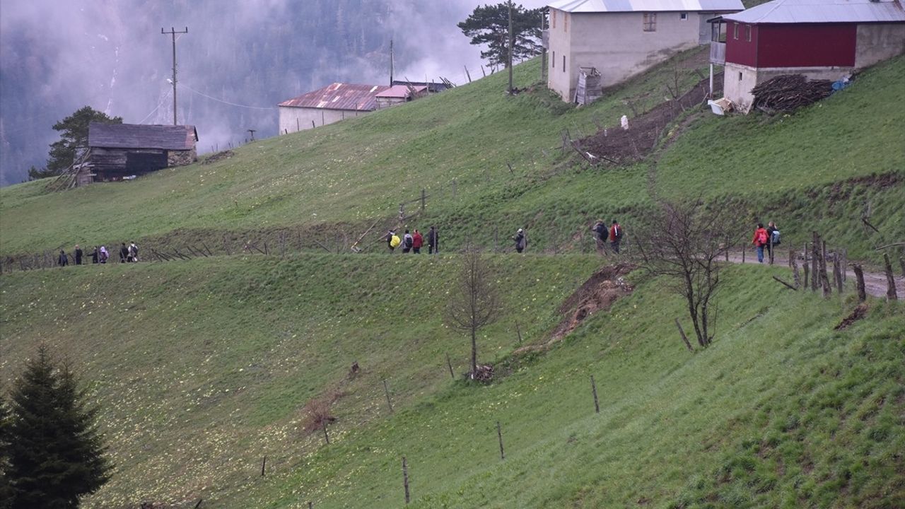 Gümüşhane Yaylaları, Doğa Tutkunlarına Ev Sahipliği Yaptı