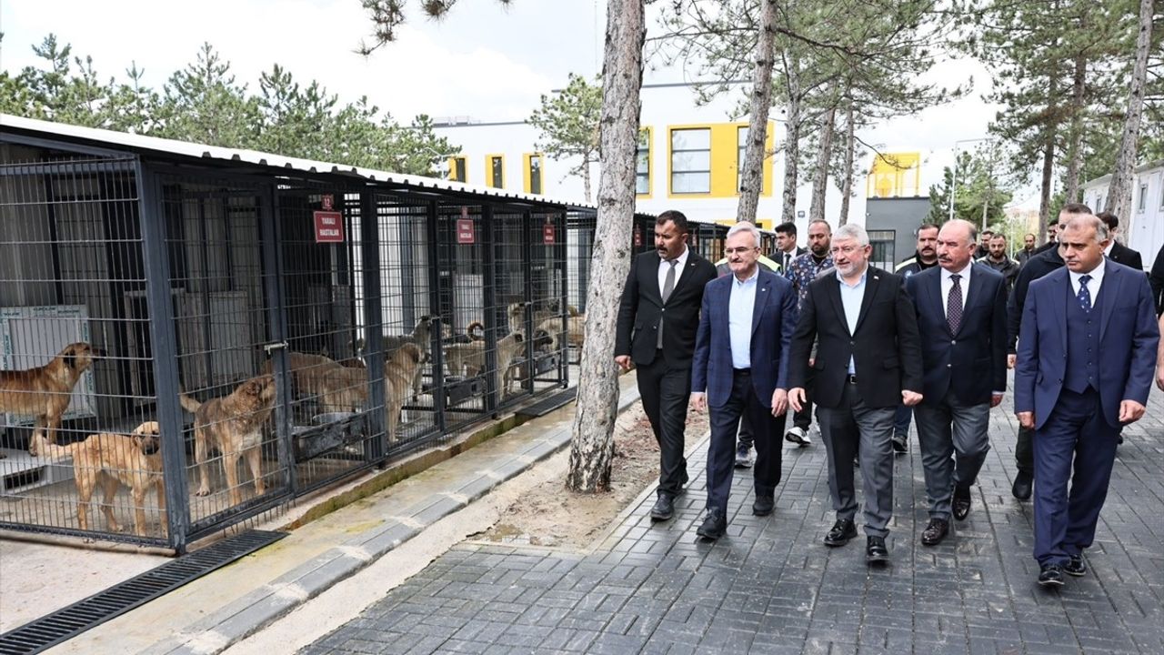İçişleri Bakan Yardımcısı Karaloğlu, Çorum'da Hayvan Koruma Çalışmalarını İnceledi