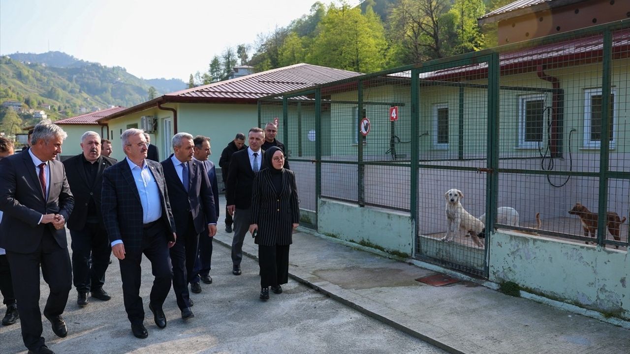 İçişleri Bakan Yardımcısı Karaloğlu, Rize'de İncelemelerde Bulundu