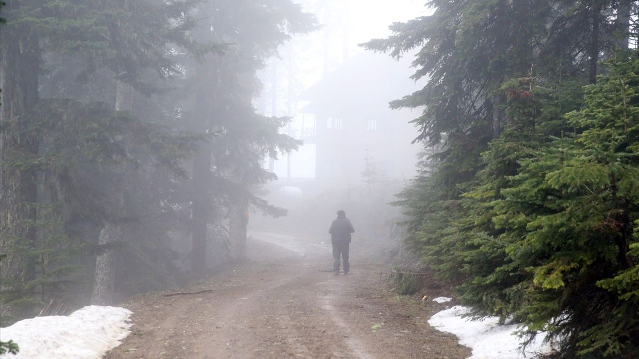 Ilgaz Dağı'nda Görüş Mesafesi Düşük: Sis Etkili Oluyor