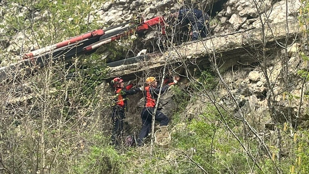 Karabük'te Kayalık Alana Düşen İnek AFAD Ekiplerince Kurtarıldı