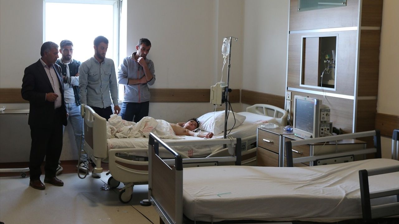 Kars'ta 'Deli Bat Bat' Otundan Zehirlenen 8 Çocuktan 6'sı Taburcu Edildi