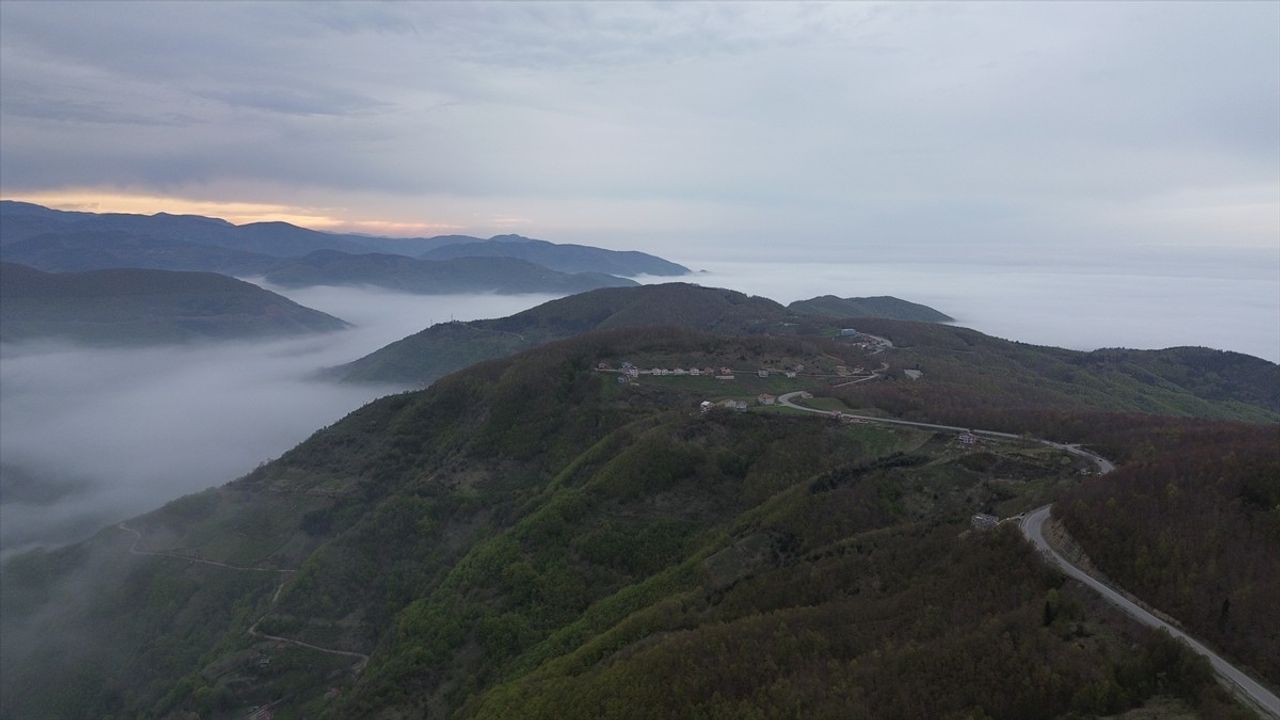 Kastamonu'da Sisle Bütünleşen Orman Görüntüleri