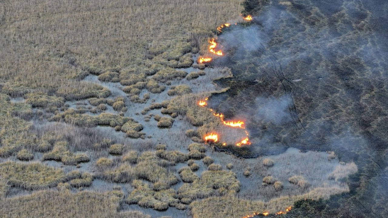 Kayseri'de Sultan Sazlığı Milli Parkı'nda Yangın Alarmı