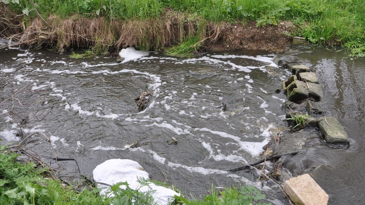 Kırklareli'nde Saranlı Deresi Kirlilik Nedeniyle Renk Değiştirdi