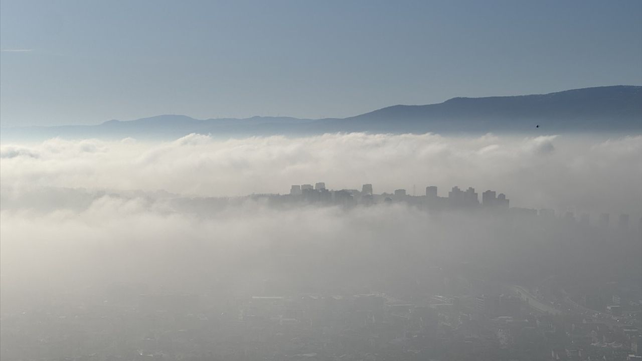 Kocaeli'de Etkileyici 'Sis Denizi' Manzarası