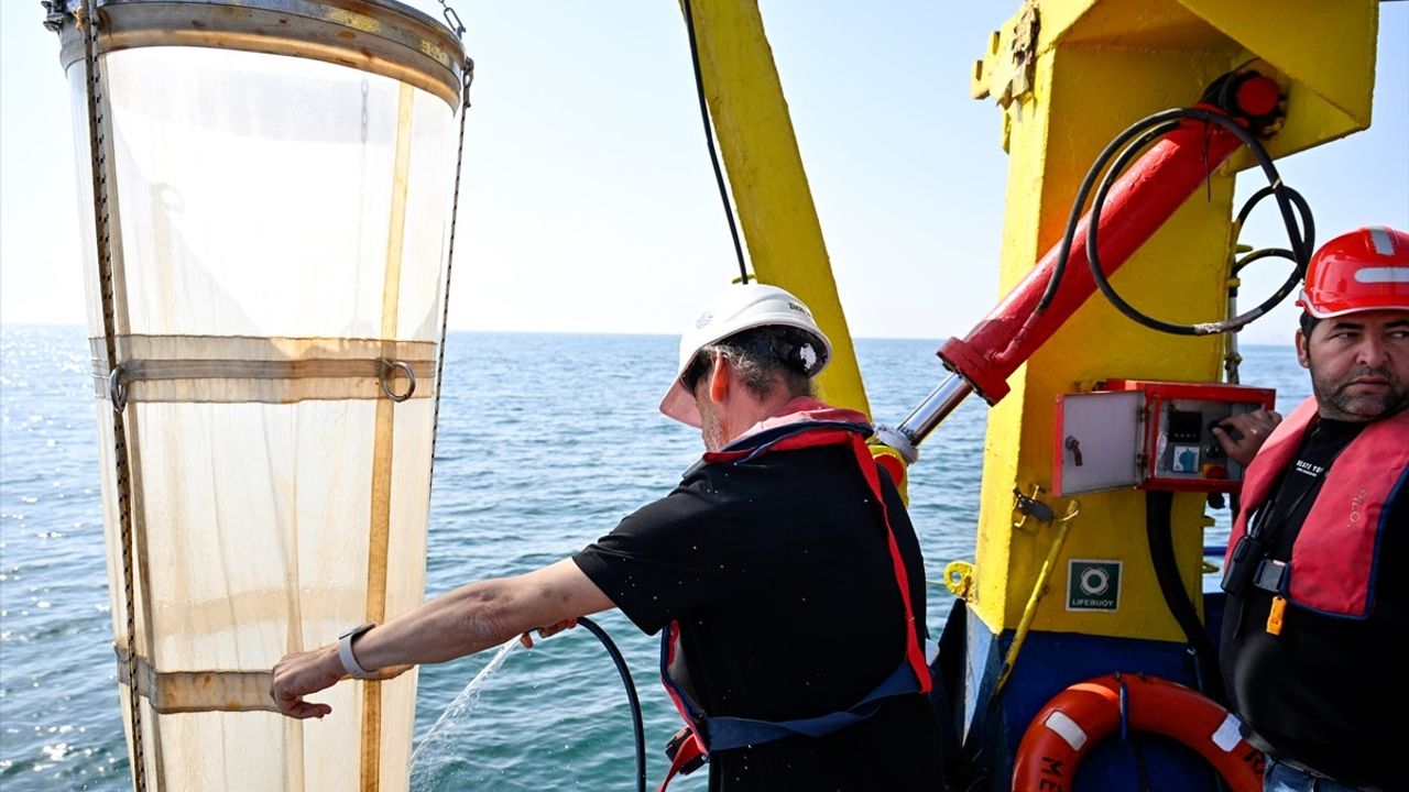 Marmara Denizi'nde Müsilaj Durumu Yerinde İncelendi