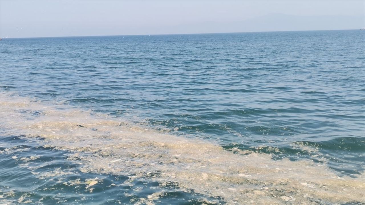 Mudanya Kıyılarında Müsilaj Alarmı!