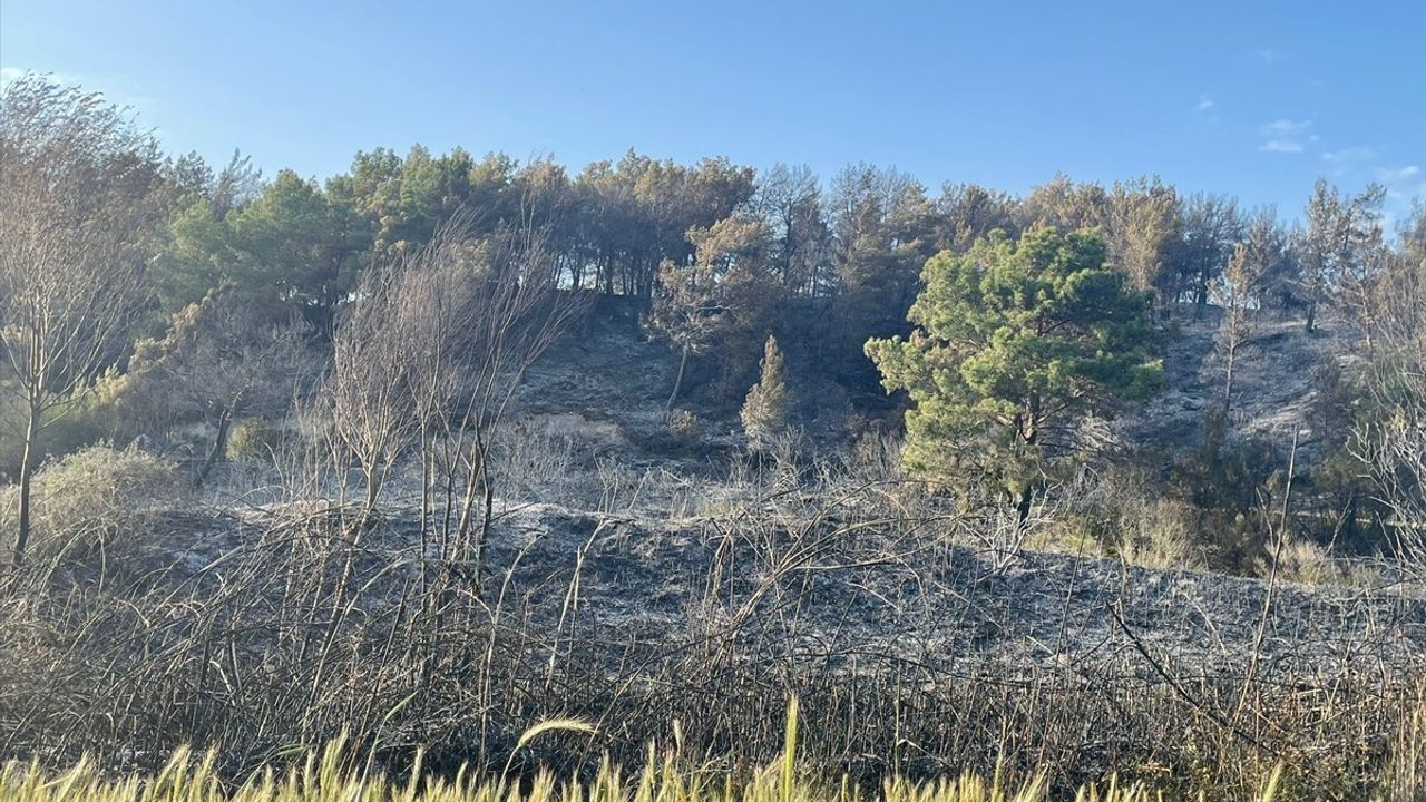 Muğla'da Tarım Arazisinden Ormana Sıçrayan Yangın Kontrol Altına Alındı