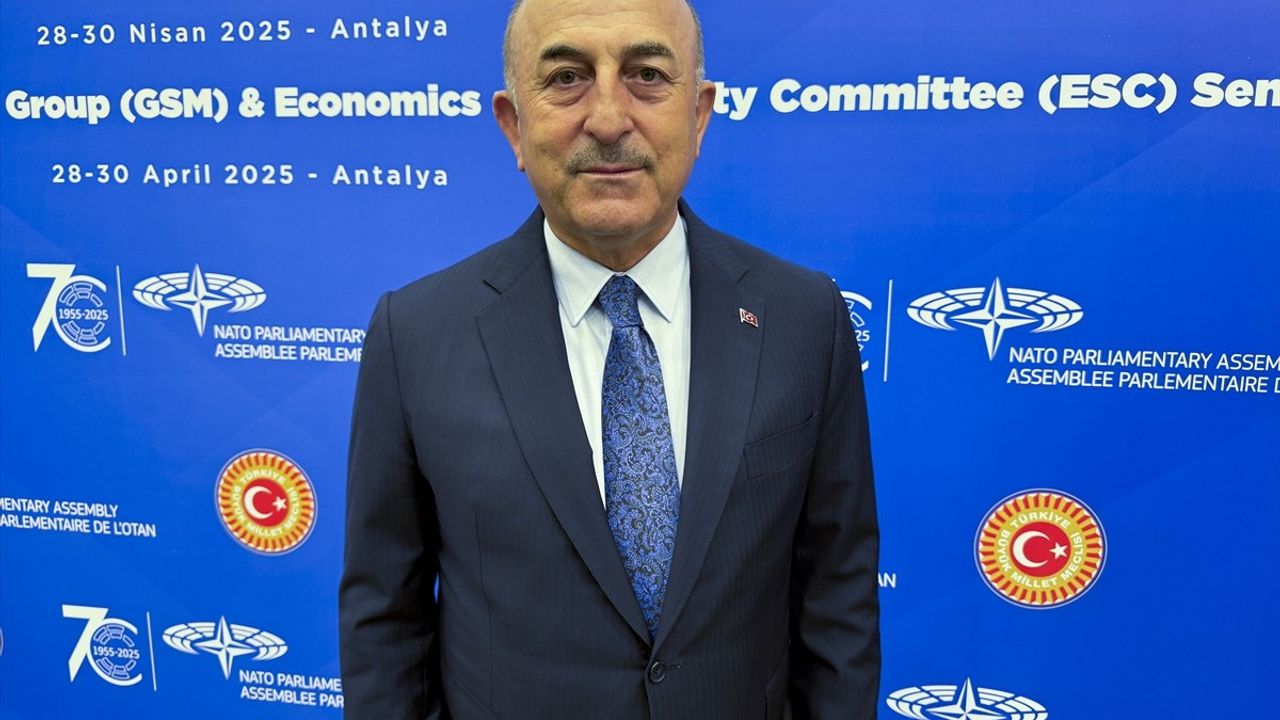 NATO Parlamenter Asamblesi'nin Antalya'daki Semineri Başarıyla Gerçekleşti