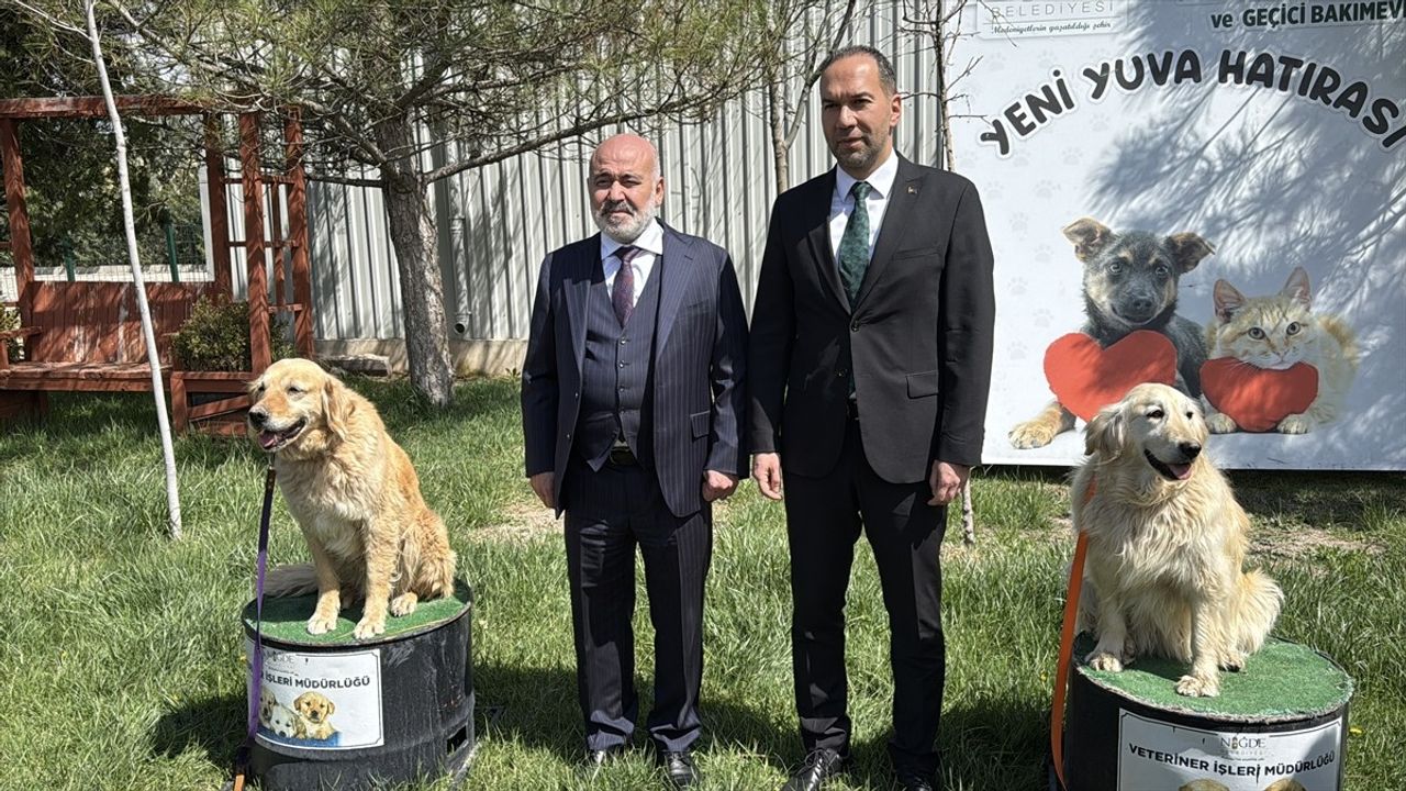 Niğde'de Sahipsiz Hayvanlar için Modern Barınak İncelemesi