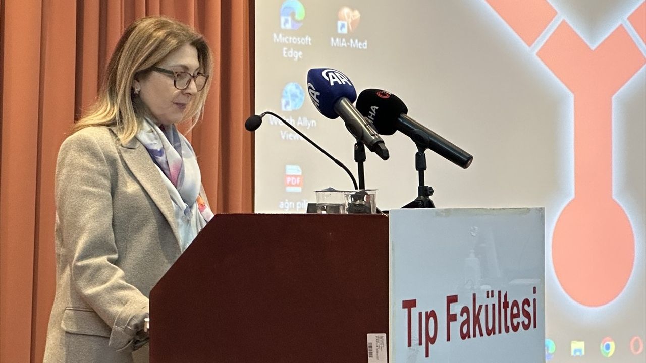 Ondokuz Mayıs Üniversitesi'nde Ağrı Pili Paneli Gerçekleşti