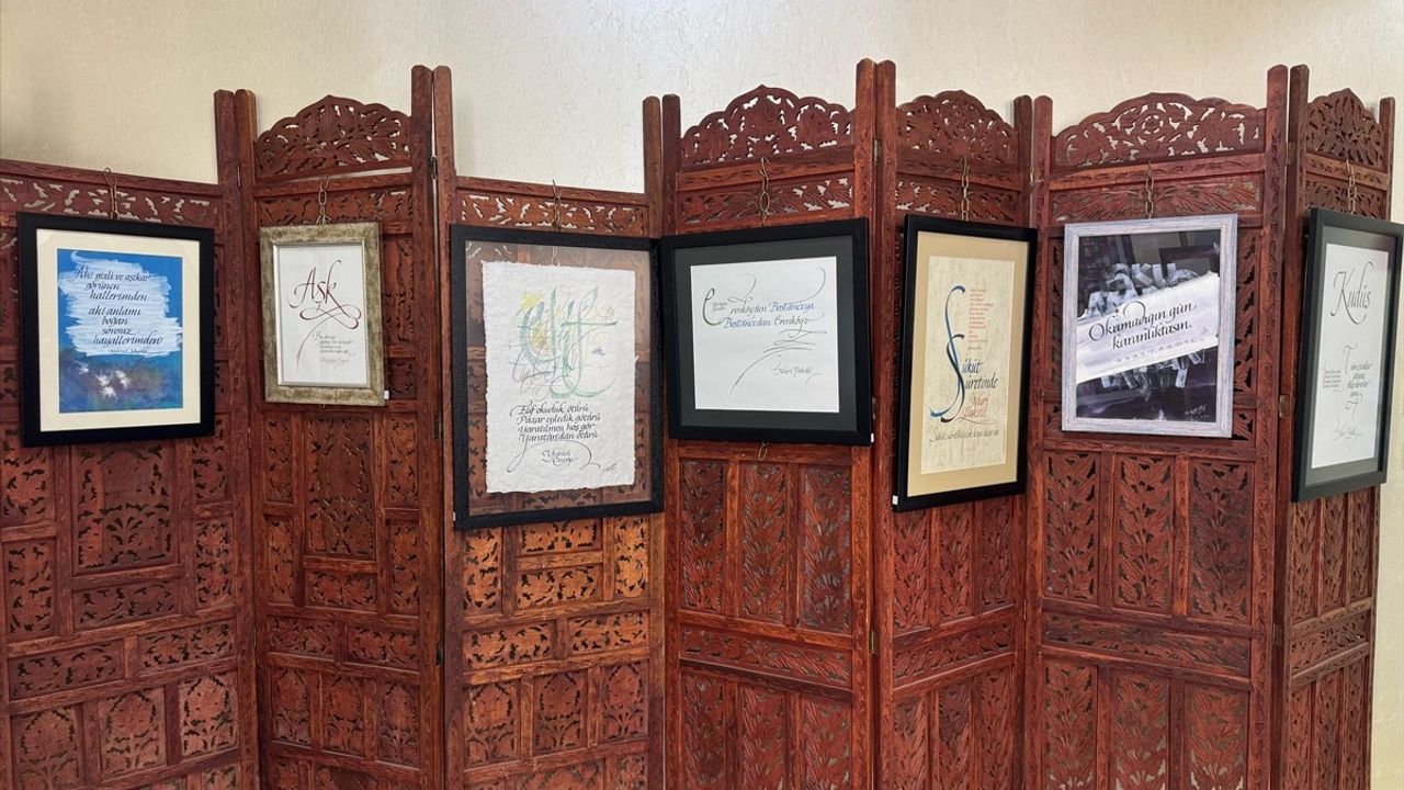 Sabahattin Nayir'den Şairlerin Dünyasına Yolculuk: 'Çizgilerin Rüyası' Sergisi