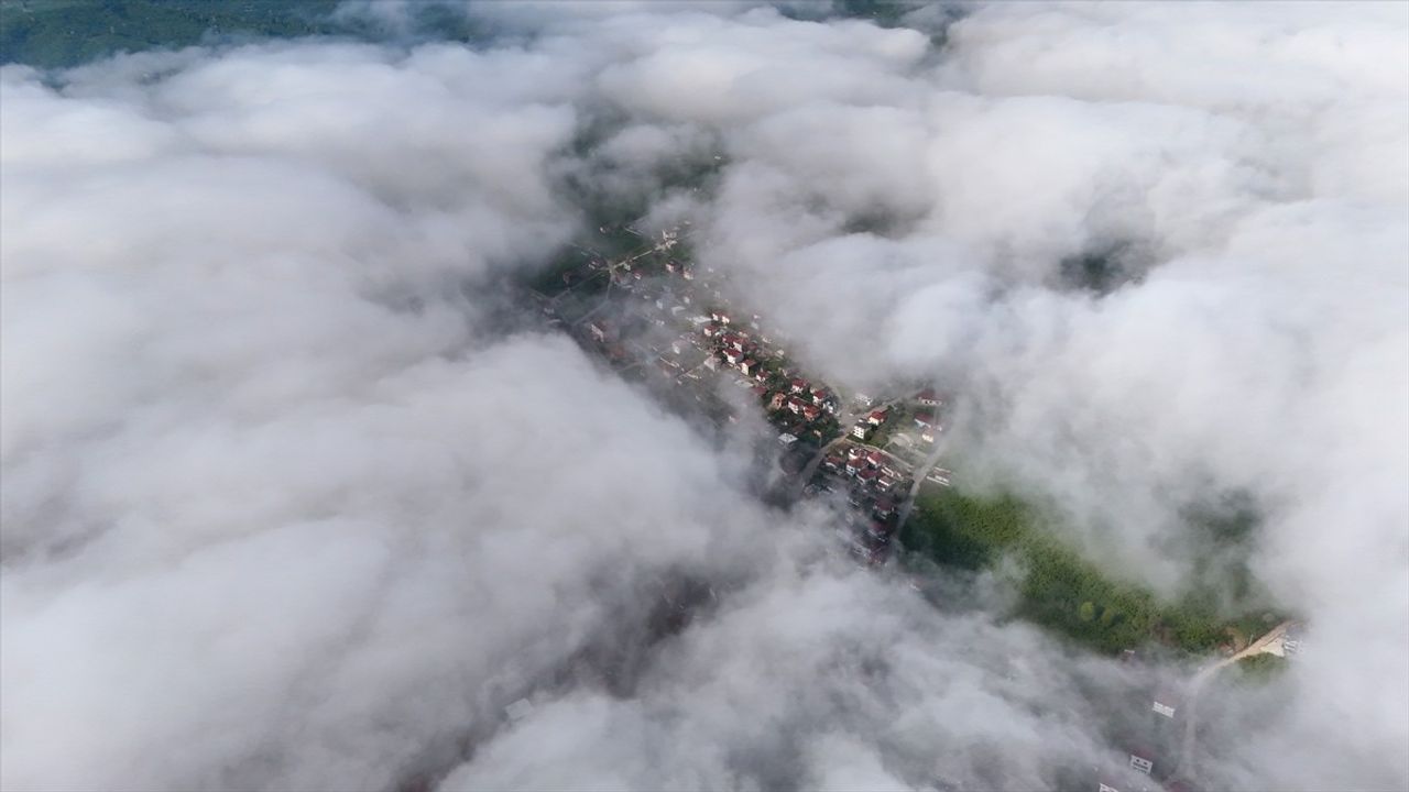 Sakarya'nın Kocaali İlçesinde Sis Bulutu Etkili Oldu
