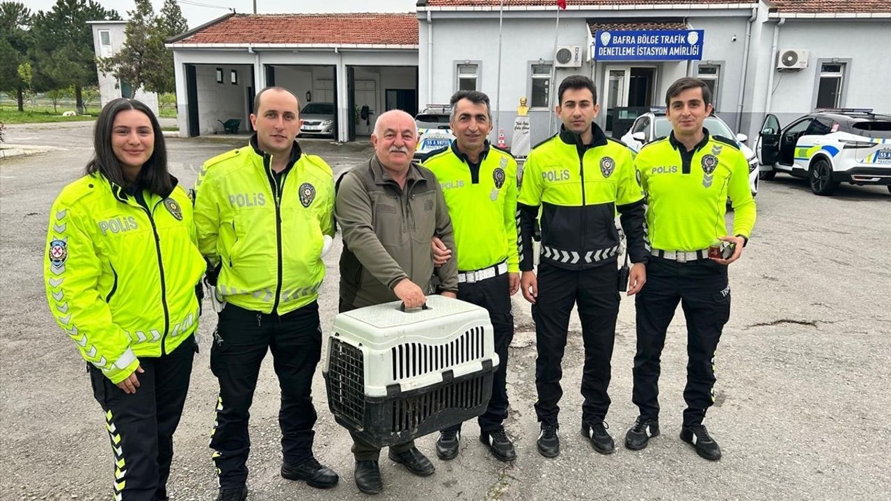 Samsun'da Yaralı Doğan Koruma Altına Alındı