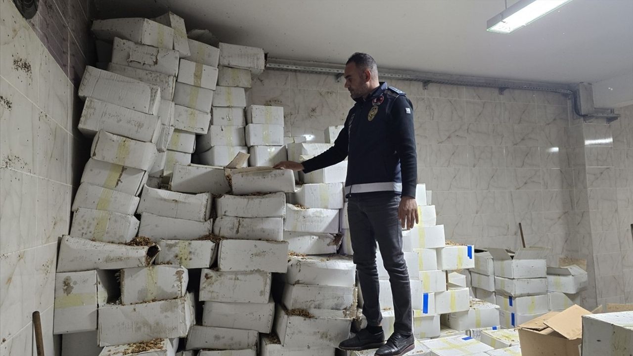 Şanlıurfa'da 11 Ton Küflenmiş Ceviz Ele Geçirildi