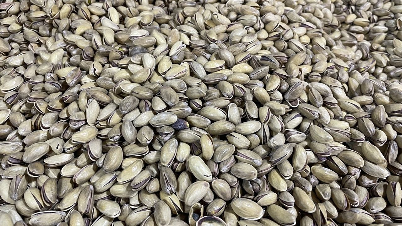 Şanlıurfa'da Lisanslı Fıstık Deposu Kuruluyor