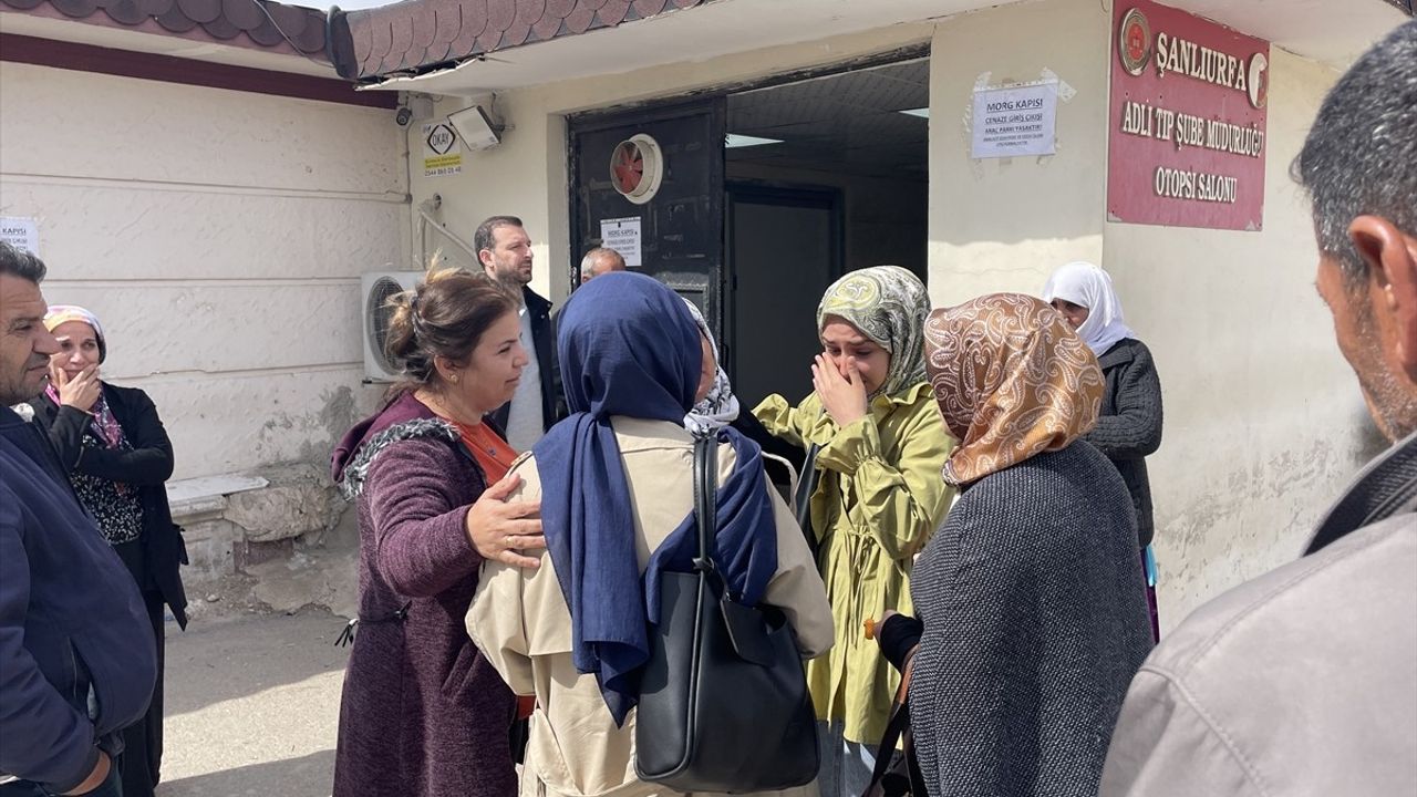 Şanlıurfa'da Sahipsiz Köpeklerden Kaçarken Hayatını Kaybeden Üniversite Öğrencisi