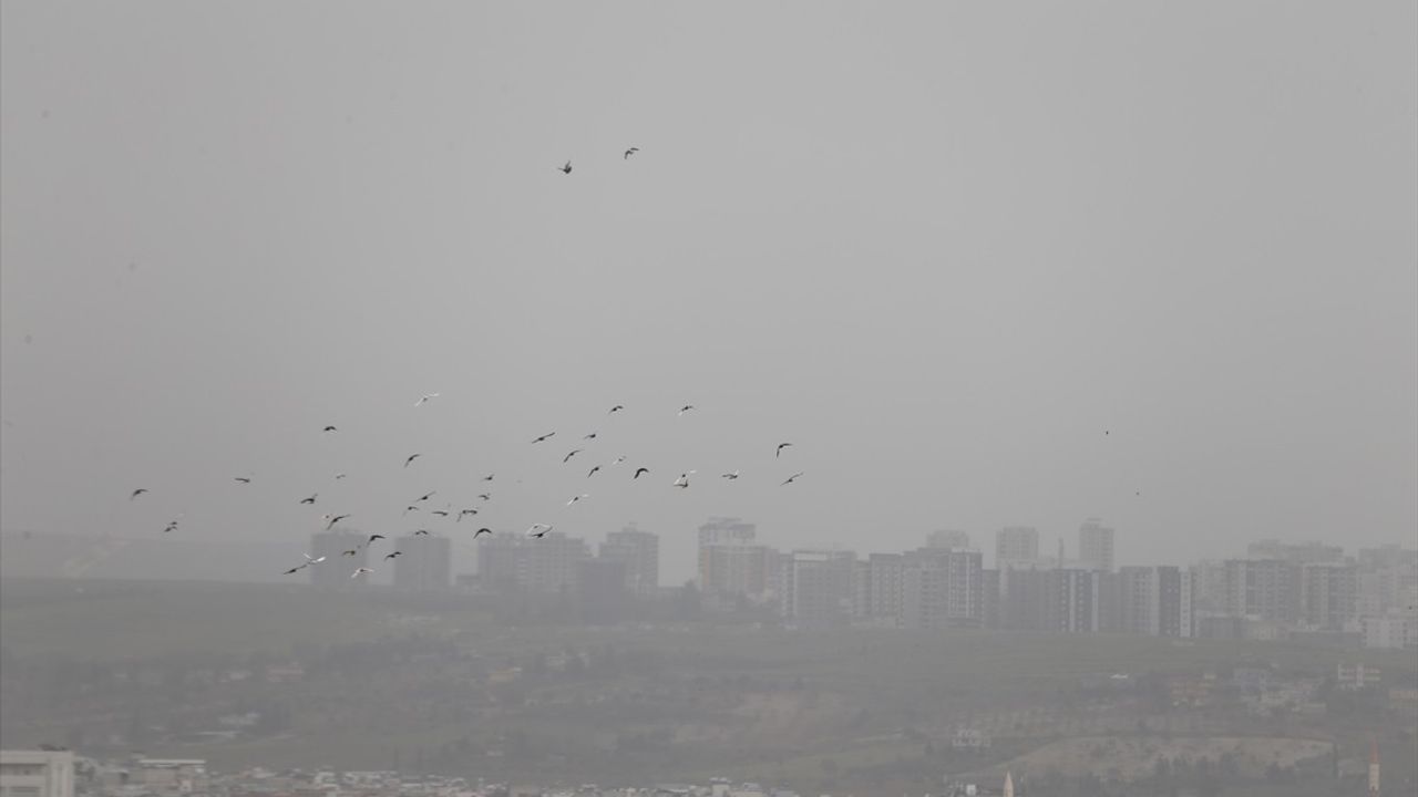 Şanlıurfa'da Toz Taşınımı Hayatı Olumsuz Etkiliyor