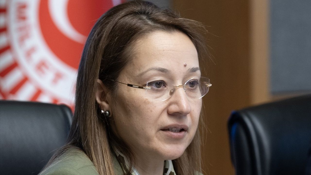 TBMM Yangın Araştırma Komisyonu, Akademisyenlerle Otel Yangınını İrdeledi