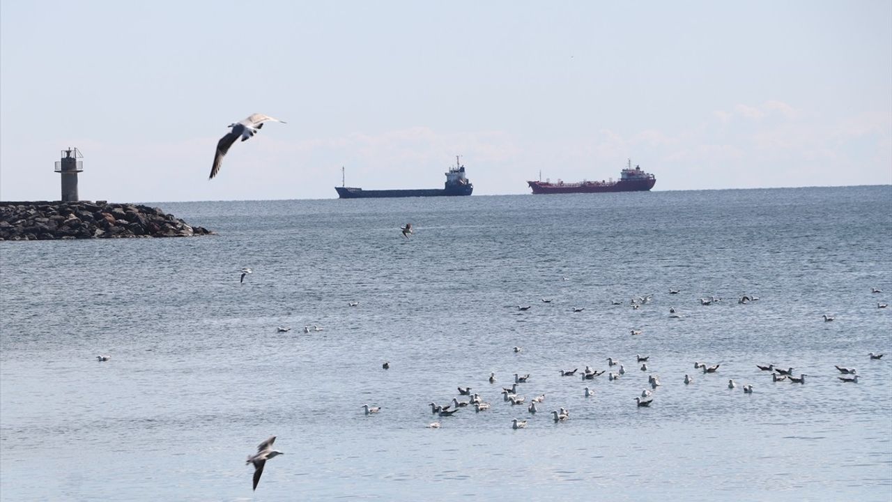 Tekirdağ'da Deniz Ulaşımı Normale Döndü: Poyraz Etkisini Yitirdi