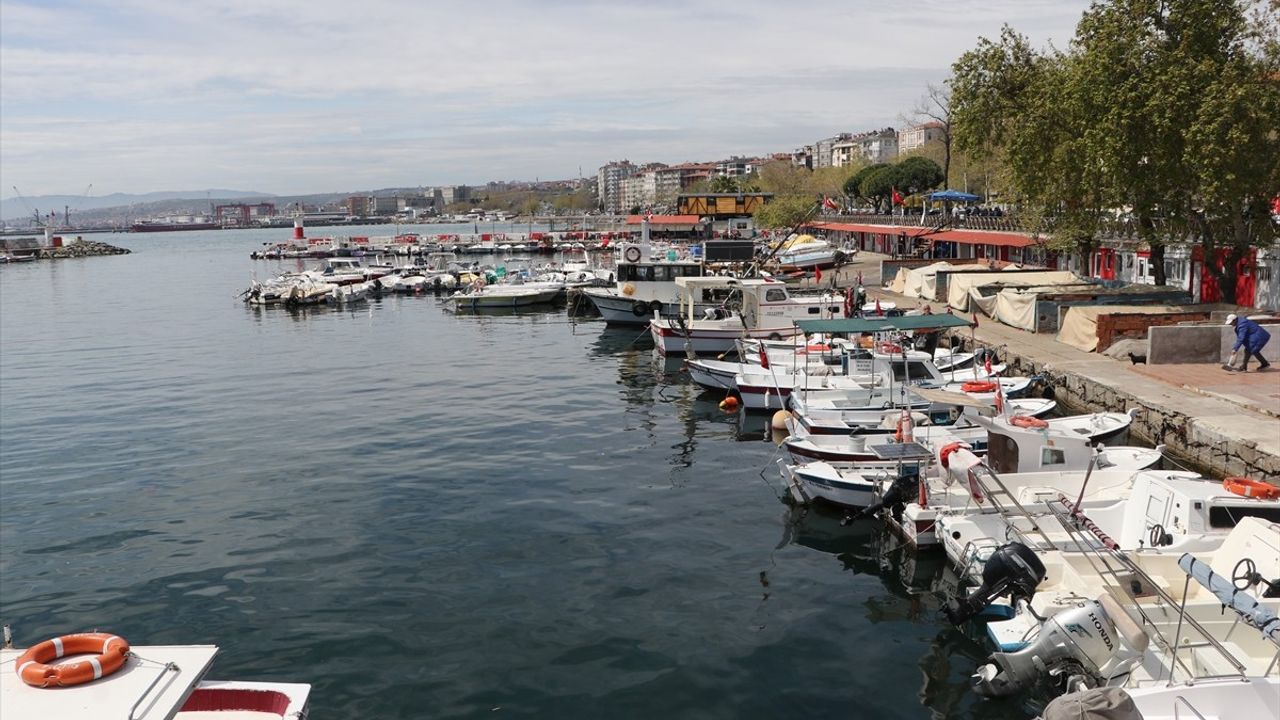 Tekirdağlı Balıkçılar, Karadeniz'de Palamut Avıyla Yüzleri Güldü