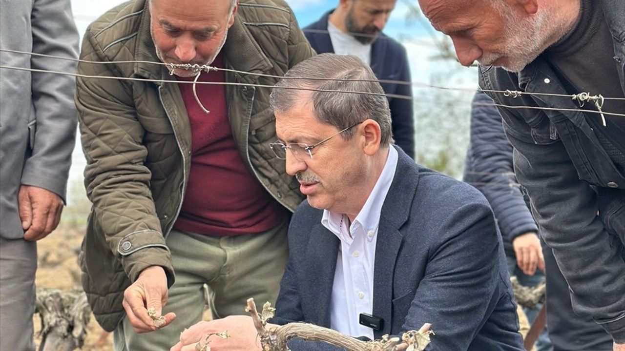 Tokat Milletvekili Arslan, Zirai Dondan Etkilenen Köyleri Ziyaret Etti