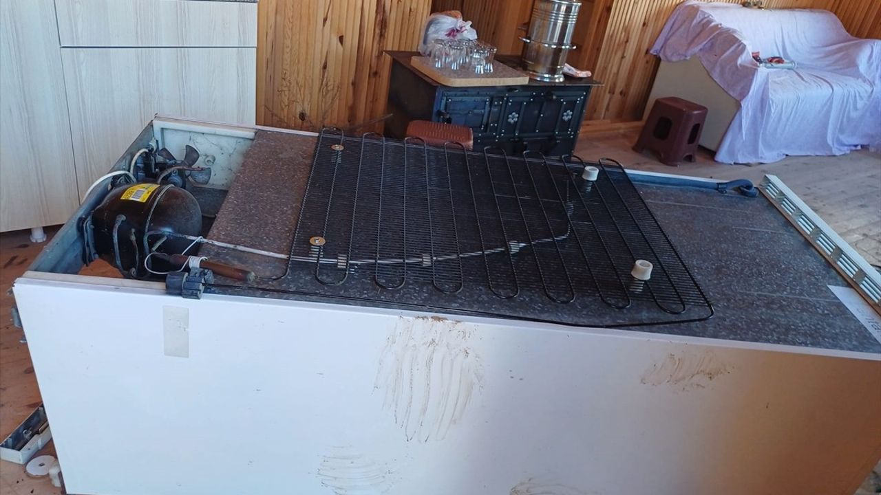 Trabzon'da Ayılar 7 Yayla Evine Saldırdı