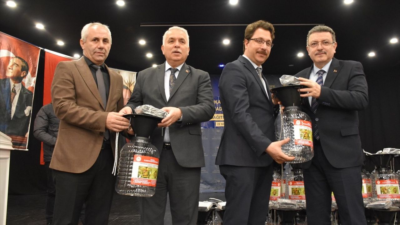 Trabzon'da Kahverengi Kokarca ile Mücadele İçin 6.550 Feromon Tuzak Asılacak