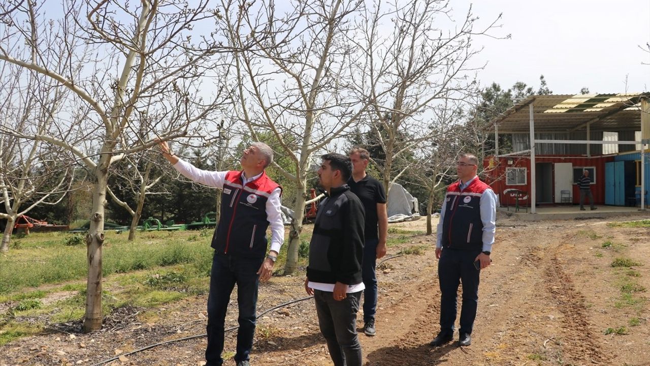 Trakya'da Zirai Don Hasar Tespiti Sürüyor