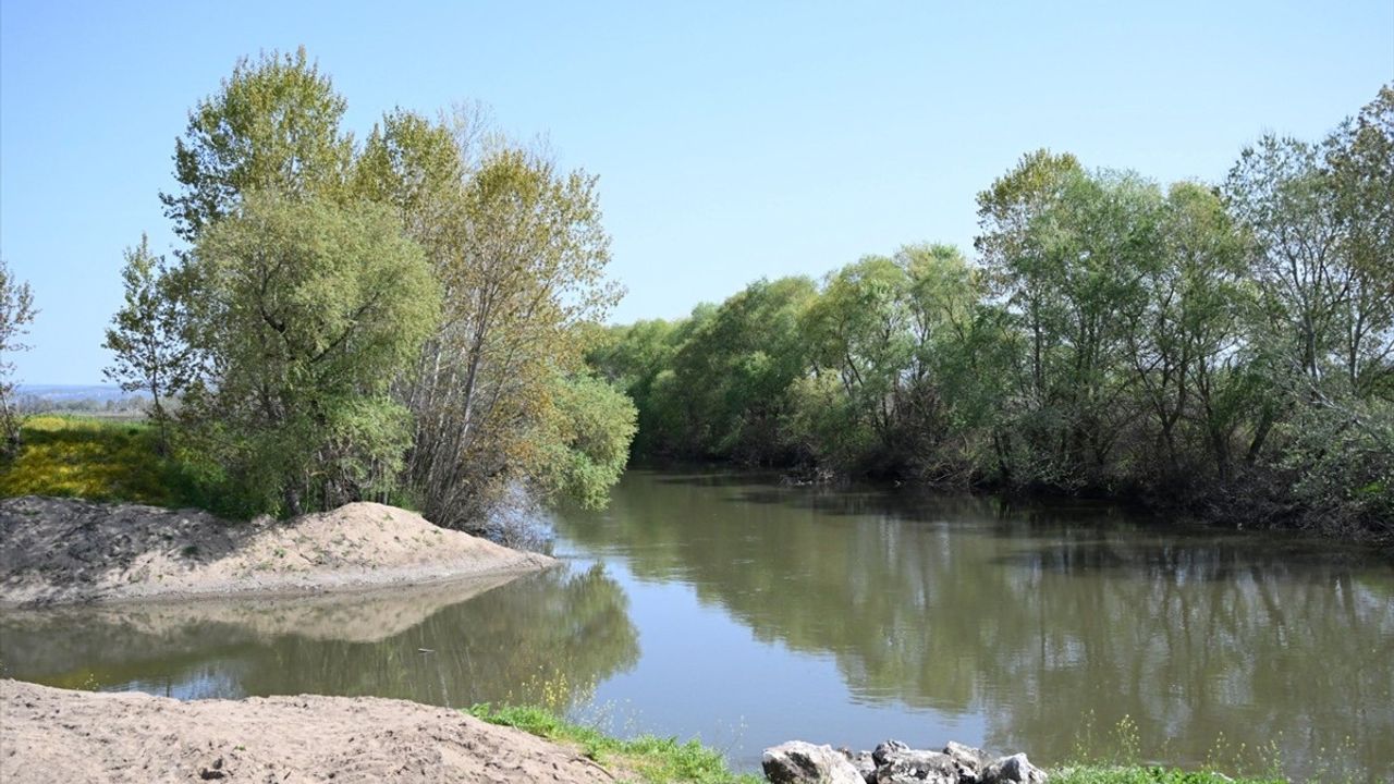 Tunca Nehri Temizleniyor: Çeltik Tarımında Su Sorununa Çözüm